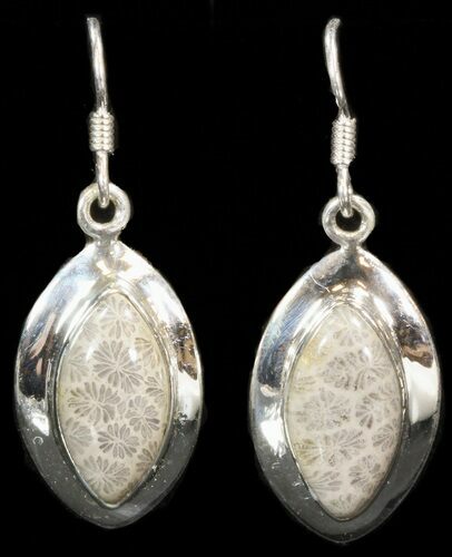 Beautiful Fossil Coral Sunburst Earrings - Sterling Silver #41214